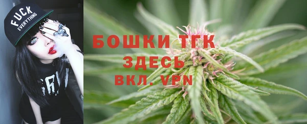 эйфоретик Беломорск