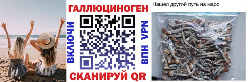 Галлюциногенные грибы мицелий  Шебекино 